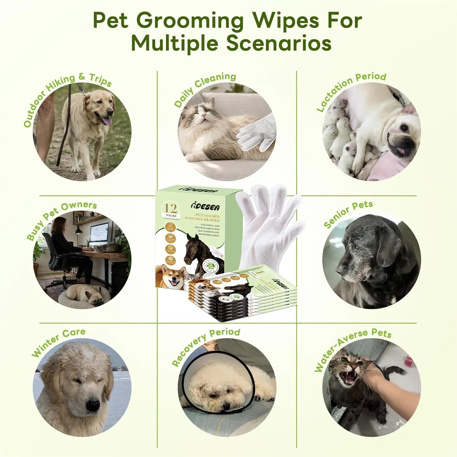 Dog & Cat Cleaning Glove Wipes, No-Rinse Grooming Wipes for Paws, Coat and Everyday Cleanup, Extra-Thick Individually Wrapped Pet Wipes for Home and Travel