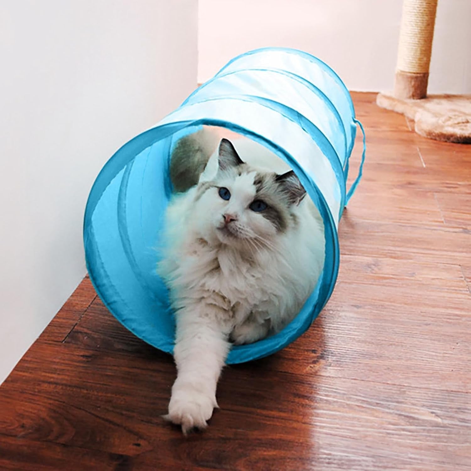 Cat Tunnel for Indoor Small Cats Kittens Rabbits, Foldable Tube Toys